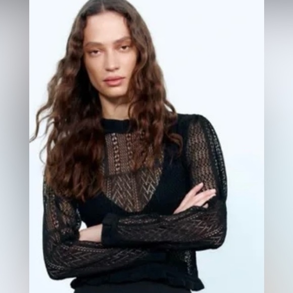 Zara Sweaters - Zara pointelle sweater